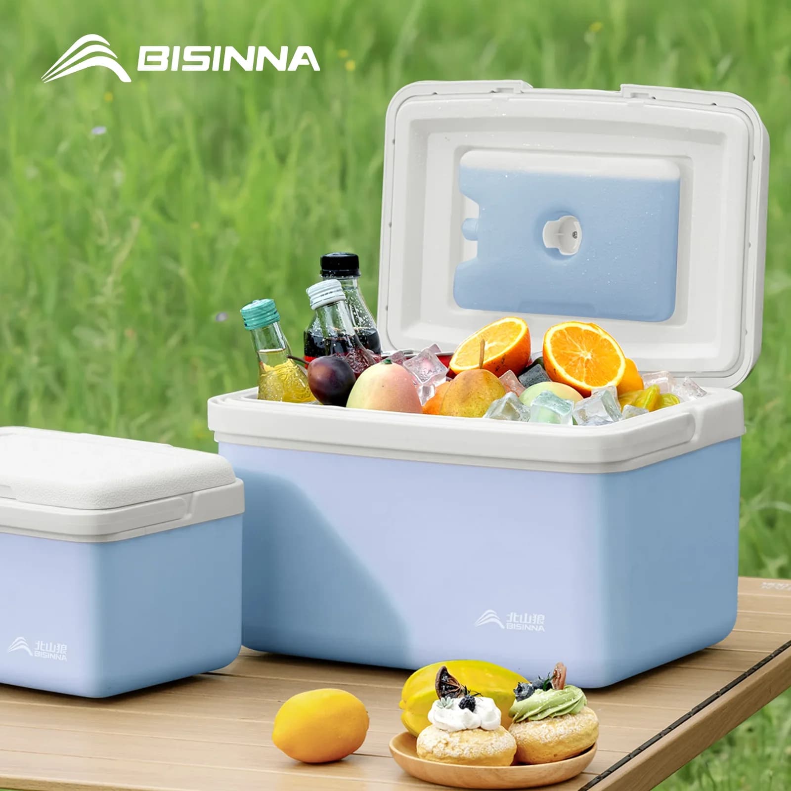BISINNA Camping Ice Box 6L/9L/15L преносима хладилна кутия за риболов, автомобилен хладилник за открито, плаж, риболов, пикник, барбекю, кофа за лед